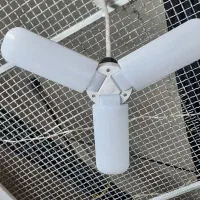 لامپهای پنکهای|لامپ و چراغ|یاسوج, |دیوار