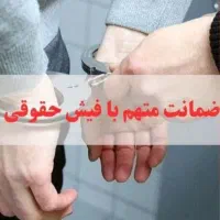 ضمانت فیش حقوقی|خدمات مالی، حسابداری، بیمه|تهران, افسریه شمالی|دیوار