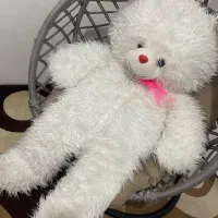 خرس یک متری