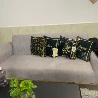 مبل ۸نفره|مبلمان خانگی و میز عسلی|مشهد, کوی سیدی|دیوار