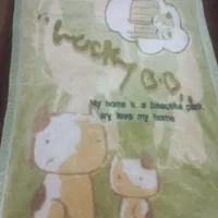 دو عدد پتو کودک