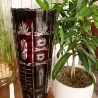 گلدان اگرمن با جعبه اصلی