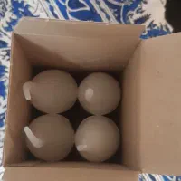 دیوار کوب و لوستر ۵ شاخه|لوستر و چراغ آویز|تهران, منیریه|دیوار