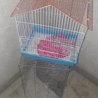 ۲تا قفس پرنده سالم|لوازم جانبی حیوانات|تهران, شارق|دیوار