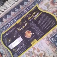 قالی ۷۰۰ شانه تراکم ۲۵۵۰ صدرصد اکریل|فرش|جونقان, |دیوار