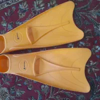 فین شنا