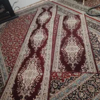 کناره زرشکی