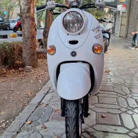 پاکشتی وینو