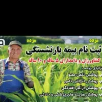 صدور بیمه تکمیلی انفرادی و بیمه طرح بازنشستگی|خدمات مالی، حسابداری، بیمه|اهواز, نادری|دیوار