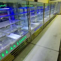 یخچال ایستاده مکعبی . قنادی. قصابی. پروتئینی|فروشگاه و مغازه|قدس, شهر‌قدس|دیوار