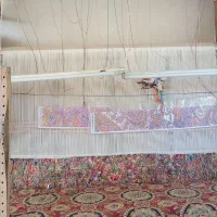 فرش نیمه کاره|فرش|اسکو, |دیوار