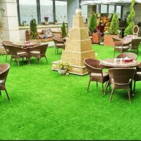 نگهبان بازنشسته برای شب