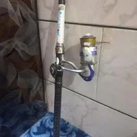 لنسر ماهی گیری
