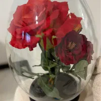 پنج شاخه گل رز