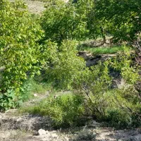 فروش زمین مسکونی سپیدان ویلا یی|فروش زمین و ملک کلنگی|سپیدان, |دیوار