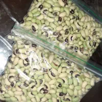 لوبیا دون درشت سبز و لوبیا چشم بلبلی دون درشت خشک