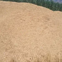 معاوضه کاه با کود حیوانی در روستای پارچی و حومه