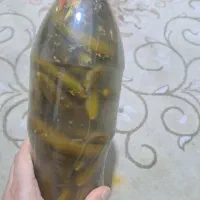 خیارشور تازه