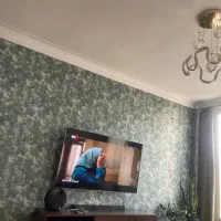 همخونه خانم