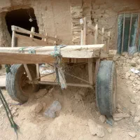 مزرعه|حیوانات مزرعه|سیب و سوران, |دیوار