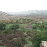 فروش-زمین-مسکونی-باغی
