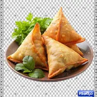 کارگر ساده (خانم )