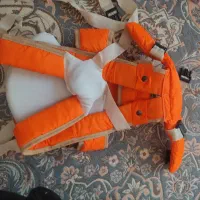 آغوشی و کریر
