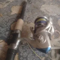 لنسر ماهی گیری