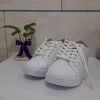 کفش اسپرت