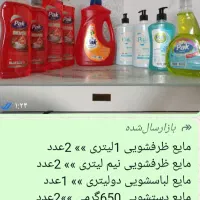 پک اقتصادی شوینده ۹عددی
