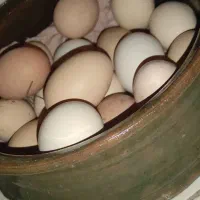 تخم مرغ محلی تحویل رایگان درب منزل