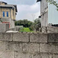 زمین ۳۵۰ متری بافت زرد همراه پروانه ساخت|فروش زمین و ملک کلنگی|شیرود, |دیوار