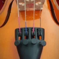 ویولن خوش رنگ TF student mode 4/4|ویولن|اصفهان, تخت فولاد|دیوار