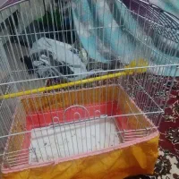 قفس|لوازم جانبی حیوانات|زابل, |دیوار