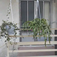 اجاره ویلا|اجارهٔ کوتاه‌مدت آپارتمان و سوئیت|تهران, فردوس|دیوار