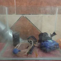 شیشه ی آکواریوم با تمام متعلقات|ماهی|اهواز, مجاهد|دیوار