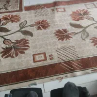 پتودست دوم