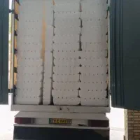 تولید تیرچه و اکاستیو|عمده‌فروشی|مشهد, نوید|دیوار