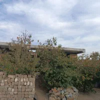 مسکونی در بخش سیلوانا روستای راژان|فروش خانه و ویلا|سیلوانه, |دیوار