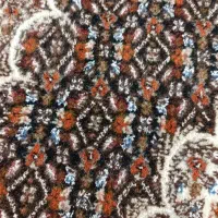 قالیچه دستباف زر نیم ماهی|فرش|خوی, |دیوار