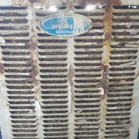 کولر ابی ۵۵۰۰ الکترو هاوس|کولر آبی|ایرانشهر, |دیوار