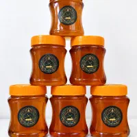 عسل طبیعی دشت غلیظ و خام عطار پروا