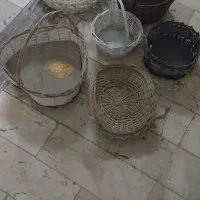 سبدگل طبیعی ومصنوعی کادویی حدود ۱۰ تا سالم|صنایع دستی و سایر لوازم تزئینی|کرج, جهان‌شهر|دیوار