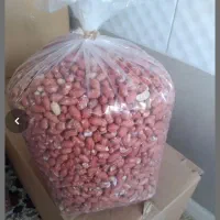 بادام زمینی