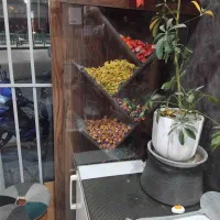 استند شکلات