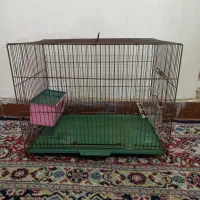 قفس