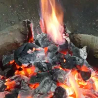 زغال درشت کبابی|عمده‌فروشی|مسجد سلیمان, |دیوار