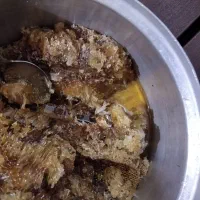 عسل صددرصد طبیعی، شرطی