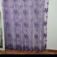 دوعدد پرده اتاق و پذیرایی