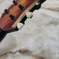 گیتار|گیتار، بیس، امپلیفایر|کرمانشاه, |دیوار